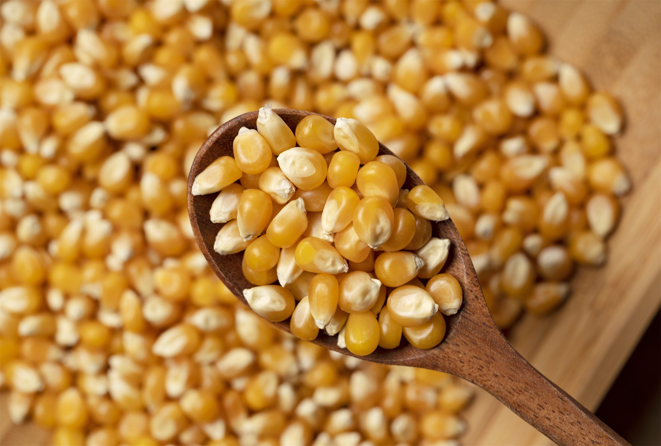Black-soil corn supply