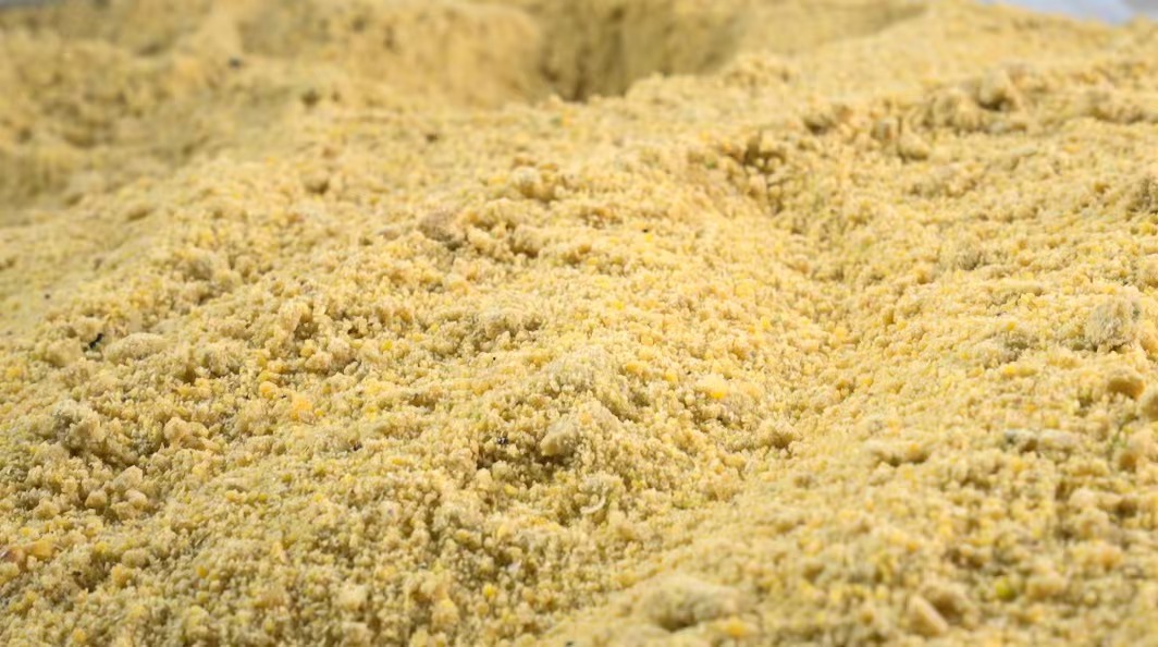 Extruded full-fat soybean powder
